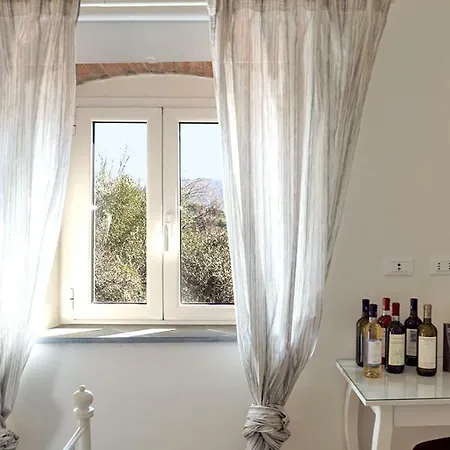 Conte Picedi Vineyards 阿尔科拉
